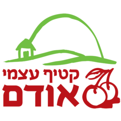 דף הבית